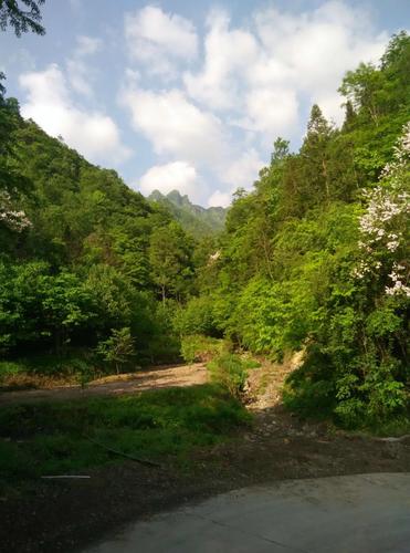 登上山顶看风景的诗句（登上山顶的优美句子精辟）