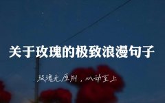 玫瑰浪漫文案简短（玫瑰和雪经典语录长句）