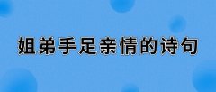 有关亲情的诗句名言段落（亲情的诗词句子）