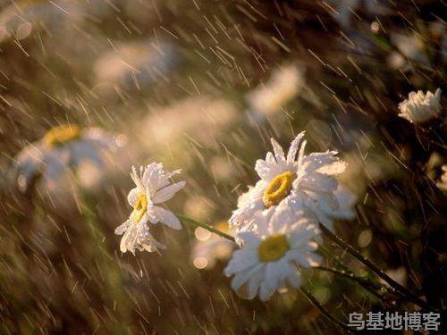 下雨天语录简短（下雨天幽默句子精辟）