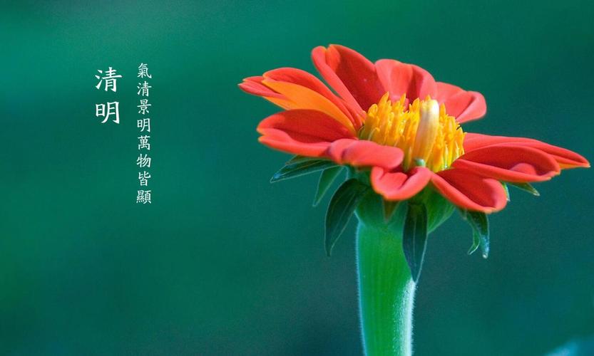 关于清明节的古诗10首（清明节的诗句唯美）