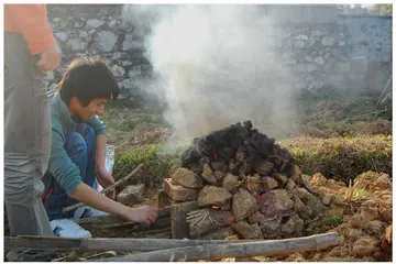 童年的味道作文600字范文（诗情画意）