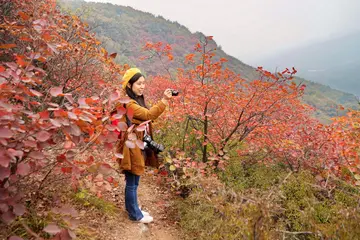 我喜欢的季节作文600字优秀（指引着我向前）