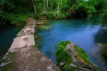 欢度端午的优秀作文（《端午节的故事》）