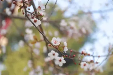 发现童年的作文（《快乐的童年》）