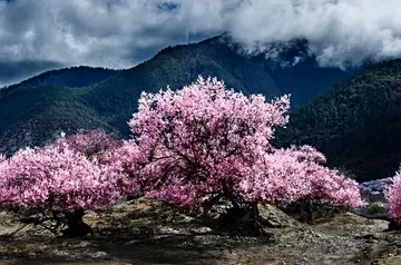 童年的味道优秀作文（《精彩的童年》）