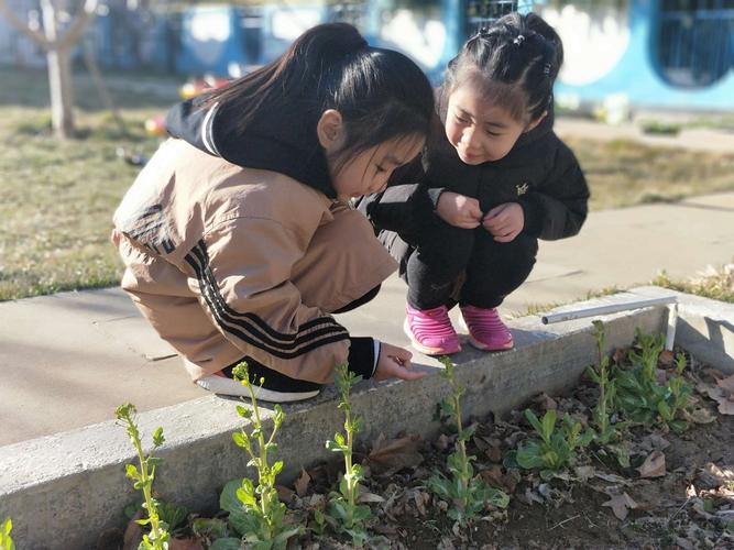 我的成长伙伴作文600字书（《从少年到成年，相互扶持的记忆》）