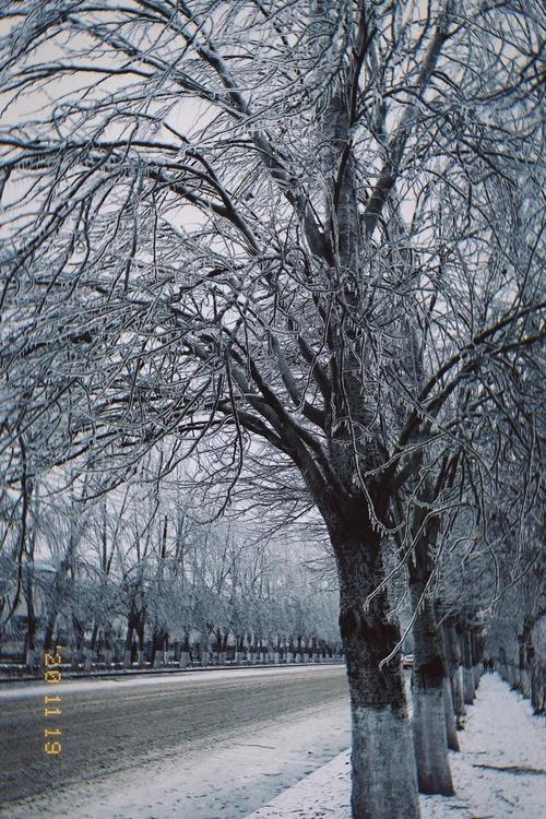 以纯净美好的冬季为话题的作文800字（《一场雪，一份温暖》）