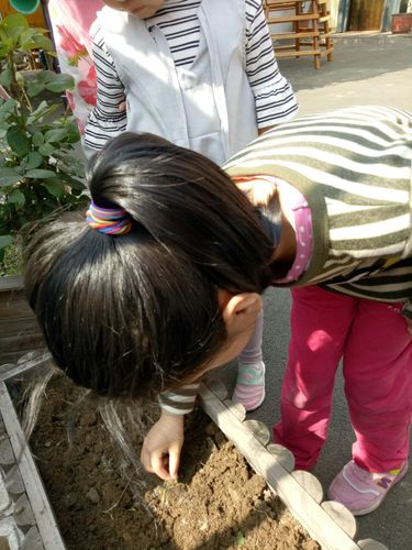 有关感谢那颗幸运种子的作文怎么写（《我的幸运种子》）