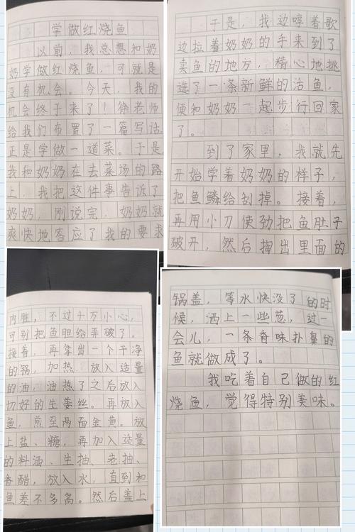 暑假生活体验作文800字作文（《我的暑假体验：探险之旅》）