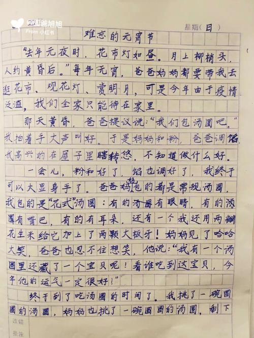 以那次难忘的元宵节为话题的作文600字（《难忘的元宵节之夜》）