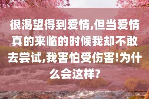 以我所渴望得到的为话题的作文800字（《追寻内心的渴望》）