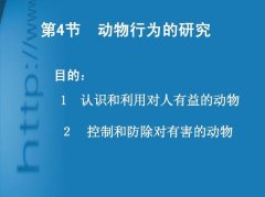 以保护有益动物为话题的作文题目（《守护动物的传奇》）