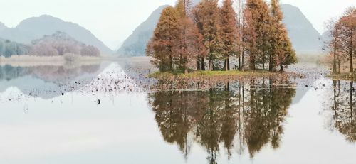 清晨,那一抹醉人的风景作文（《清晨的美好》）