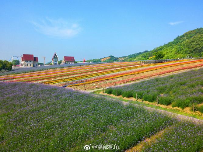 清晨,那一抹醉人的风景作文（《清晨的美好》）