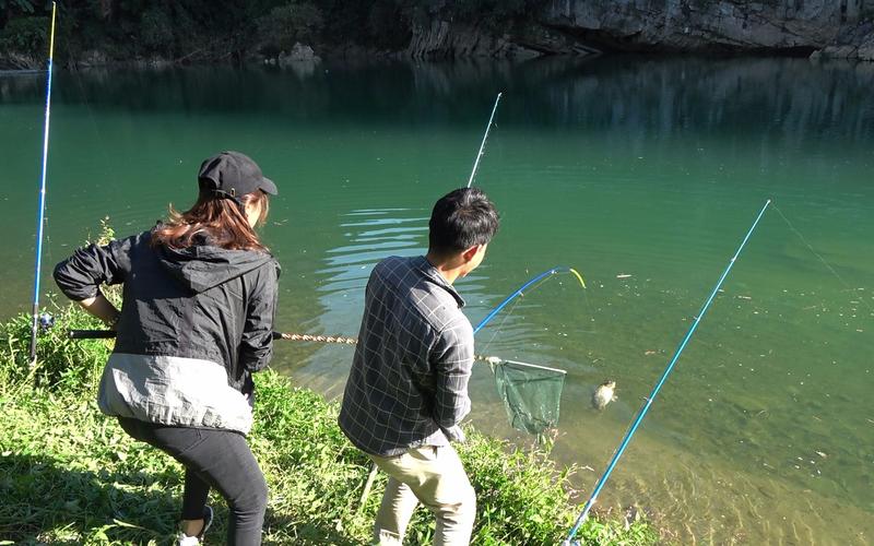 难忘的钓鱼的满分作文（《一场收获与成长并存的旅程》）