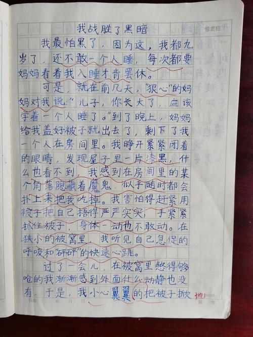 关于我克服了困难的作文600字（《坚韧不拔，终有收获》）