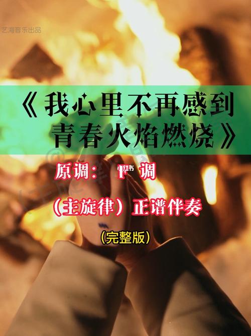 青春的主旋律作文素材（《青春是用来奋斗的，不是用来挥霍的！》）