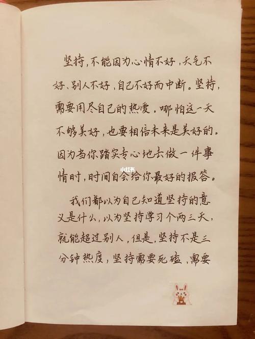 有关坚持相信自己的作文800字（《追逐梦想的路上，坚持不易》）