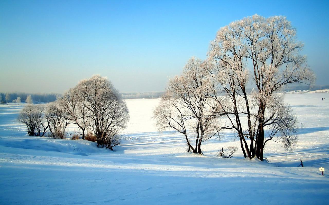 关于冬天自然景象的作文（《冬日里的寻找》）