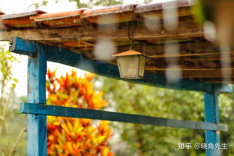 以感恩下雨的冬天为话题的作文600字（《感恩下雨的冬天》）