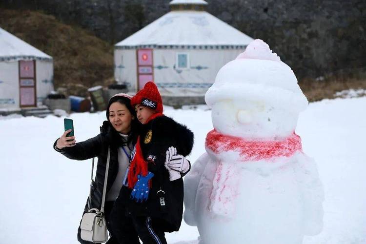 关于冬天下雪堆雪人的作文（《两个小伙伴的堆雪人大冒险》）