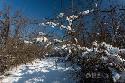 有关冬天戏耍白雪的作文题目（《冬日里的欢乐——小明与白雪的故事》）