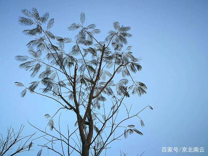 有关冬天天气就是这么冷的作文怎么写（《冬天的小幸福》）