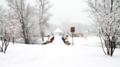 关于雪中的作文（《雪中美景》）