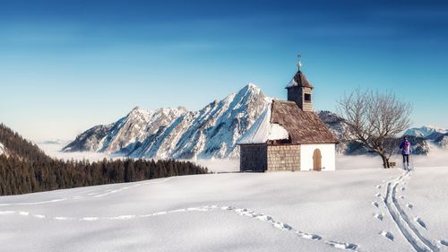 关于雪中的作文（《雪中美景》）