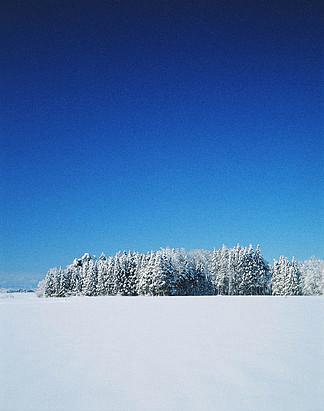 有关冬天迷人的景色的作文题目（《WinterWonderland:AMagicalTaleofaSnowyLandscape》）