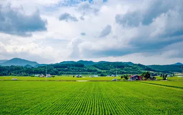 多姿多彩的夏天作文(《家乡的夏天》）