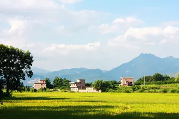 多姿多彩的夏天作文(《夏天的景色》）