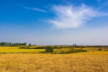 夏天的风景优秀作文(《夏天的景色》）