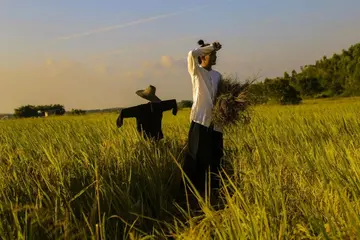 夏天的故事优秀作文(《迷人的夏天》）