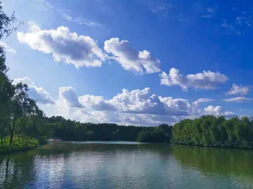 美丽的夏天优秀作文（《夏天的景色》）