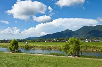 夏天的味道优秀作文（《夏天的景色》）