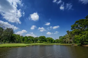 夏天的味道优秀作文（《美好的夏天》）