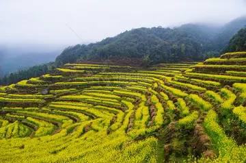 夏天的校园优秀作文（《夏天的景色》）