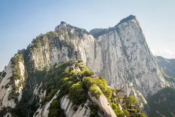 夏天的校园优秀作文（《夏天的景色》）