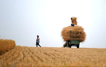 难忘的季节作文650字（秋天的景色）