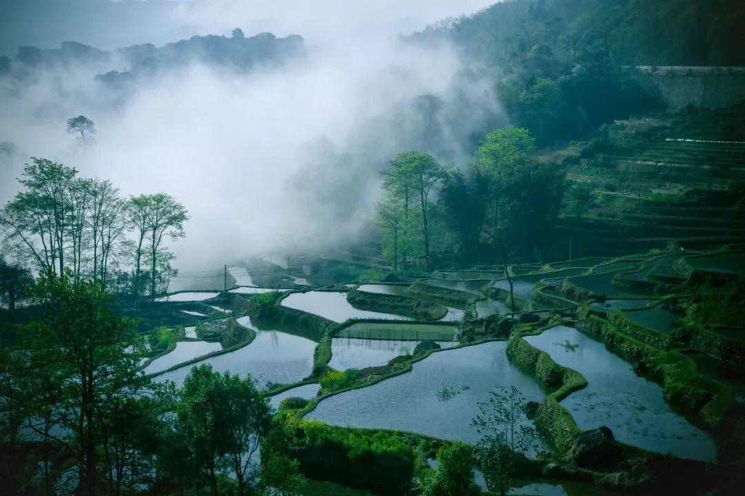 哲理古诗词名句唯美（15首哲理诗词）