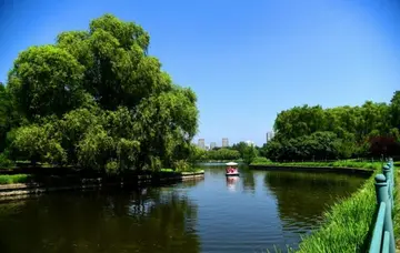 关于田园的风光作文（《田园的风景》）