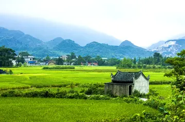 美丽的田园作文（《田园的风景》）