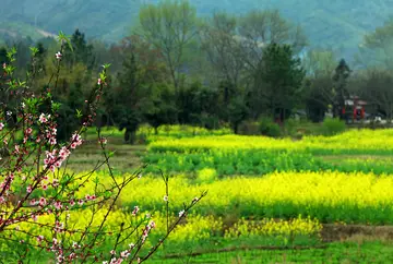 田园四季的作文（《田园的风景》）