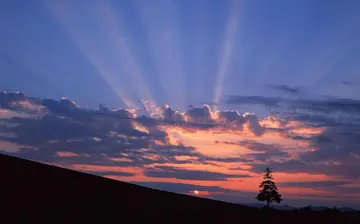 日落夕阳作文600字范文（坚持的重要性）