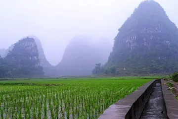 走进田园的作文（《家乡的田园》）