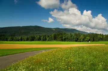 走进田园的作文（《田园的风景》）