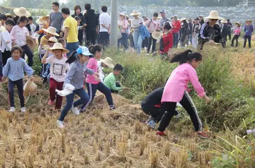 我的快乐初三600字作文（有意义的活动）