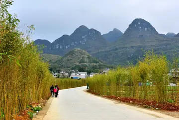 乡村的风景作文（《乡村的趣事》）